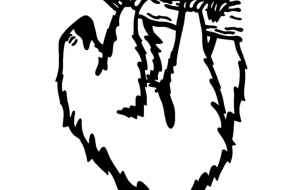 フタユビナマケモノ - シマハイエナ