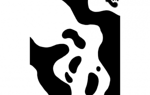 ボールニシキヘビ(模様) - シマハイエナ