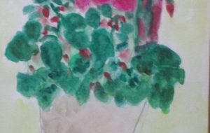 シクラメン - マサミ