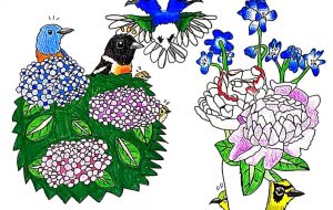 初夏の花で鳥たちがかくれんぼ - SAYAKA