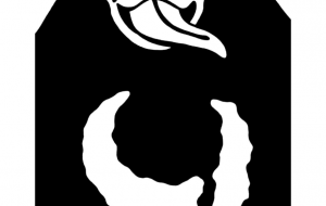 マレーグマ - シマハイエナ