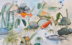 オサカナ - クルミ