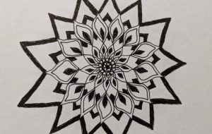 冬生まれのひまわり - 夏みかん