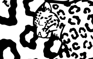 ユキヒョウ - シマハイエナ