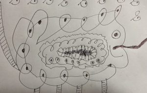 恐竜ちゃん - 笹谷正博