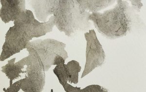 鍛錬 牡丹 - 庫美原