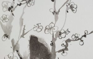 鍛錬 梅 - 庫美原