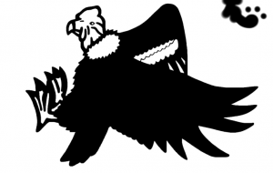 アンデスコンドル - シマハイエナ