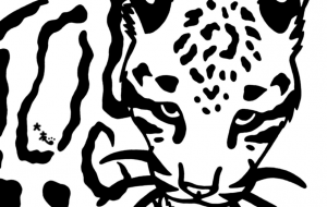 ウンピョウ - シマハイエナ