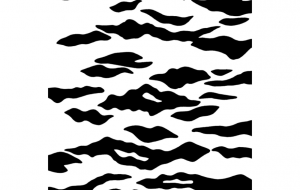 トラ(模様) - シマハイエナ