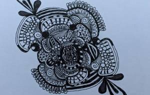 アジのひらき - 夏みかん