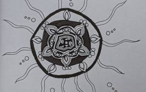 クラゲ - 夏みかん