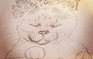 のせ猫 - 塙 真紀