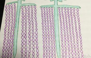 藤の花 - Aria(アリア)