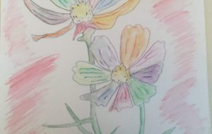 秋桜 - 雲ノ手太郎