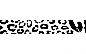 ヒョウ(模様) - シマハイエナ