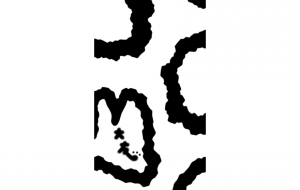 ビルマニシキヘビ(模様) - シマハイエナ