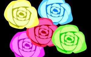 5色のバラ - くみぱんつ