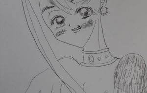盗賊 - ワタリドリ