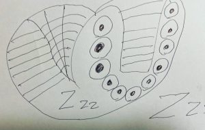 長い昼寝 - 笹谷正博