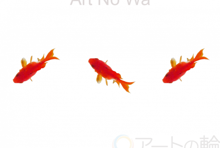 金魚三兄弟 - ナリタマサヒロ 