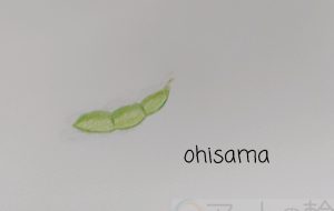 枝豆 - おひさま