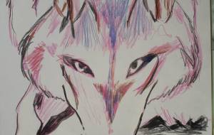 狼さん、こんにちは。 - ワタリドリ