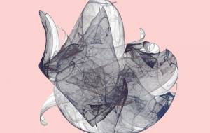 Snail_outing. - 太陽