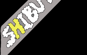 SHIBUYA - わきっちょ