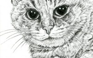 昼寝への招待 - 山田貴裕