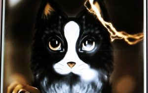 猫 - Mai姫