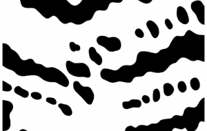 ジャガー(模様) - シマハイエナ