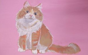 ノルウェージャンフォレストキャット - Mika Neichi