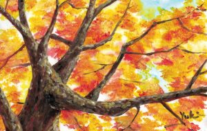 見上げたら - 工房はんど Yuki