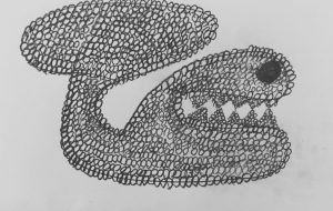 怠けたわけじゃないよ - 笹谷正博