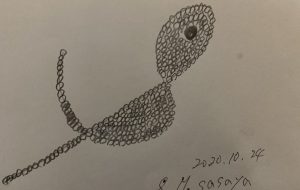 私のロゴマーク - 笹谷正博