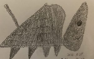 想像上の世界ダイヤ - 笹谷正博