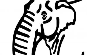 インドゾウ - シマハイエナ