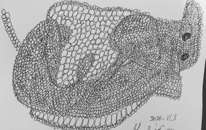 意地張ったねター君 - 笹谷正博