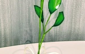 気品~Dignity - Toyo