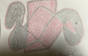 集中出来ましたタックン - 笹谷正博