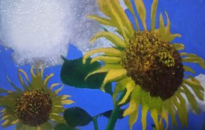 ひまわり - 阿部貴志