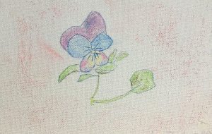 かわいい花 - はるえ