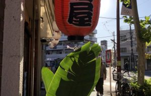 濃い陽射し - 置山あさ子