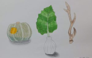 ウンベラータとカボチャと鹿の角 - SAYAKA