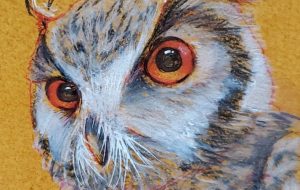 またたき - 庫美原