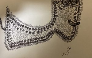 ラブリーちゃん - 笹谷正博