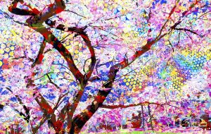 Fluttering Heart - 山下重人