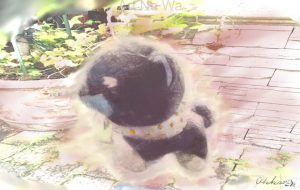 置きものっぽいわんこ - 置山あさ子