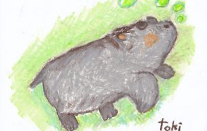 カバのこども - 工房はんど toki